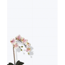 VERTIGO - 10X30, WHITE, GLOSSY